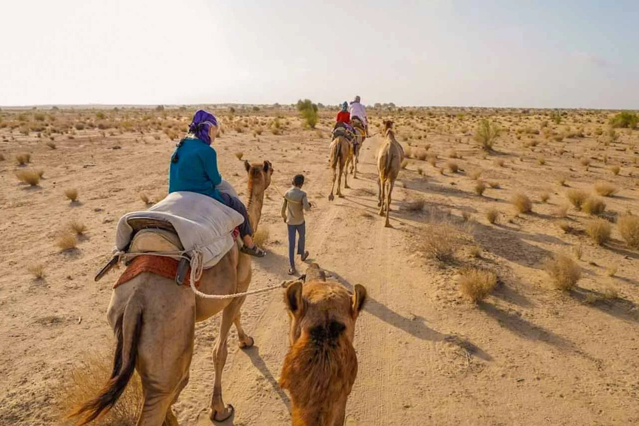 Jaisalmer Desert Safari – Camel Rides, Dune Bashing & Camp Nights