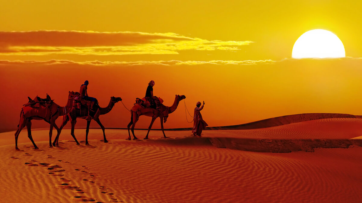 Camel Safari in Jaisalmer