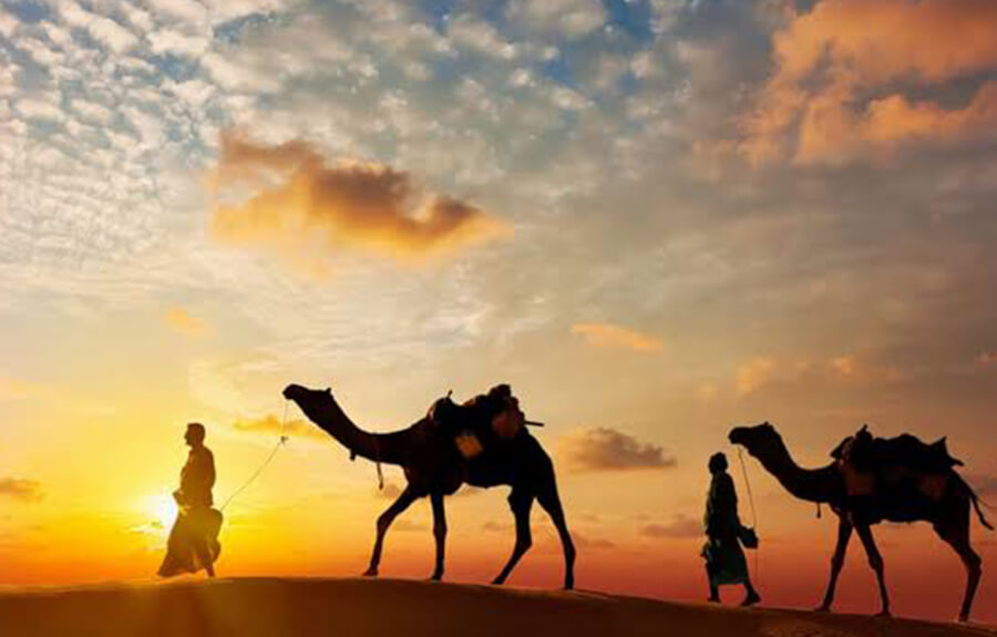 Desert Rhythms: An Evening of Camel Rides & Cultural Magic