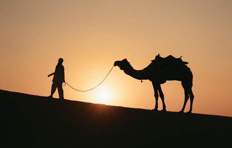Desert Bliss: 2 Nights Jaisalmer + 1 Night Dune Stay